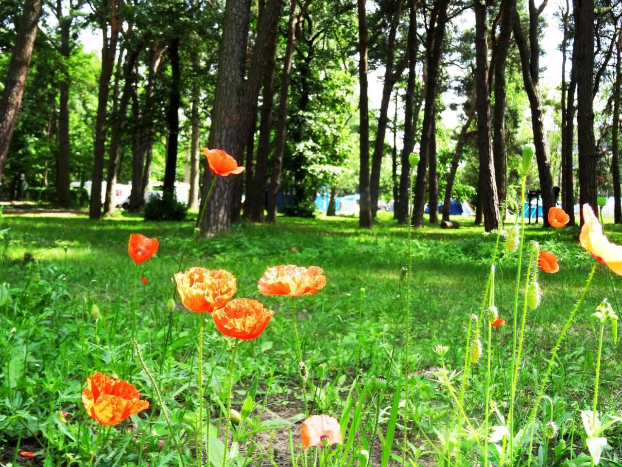 Вилла Sopot 34 Przy Plazy Экстерьер фото
